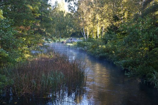 Some guys fishing for salmon in a small stream an early autumn morning