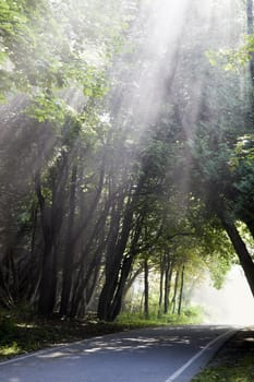 Morning on Mackinac Island, Michigan, USA.