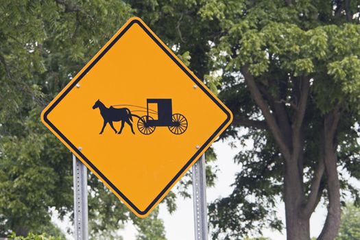 Careful! - Carriages... - seen in Michigan