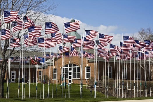 500 flags seen in Estlake, Ohio