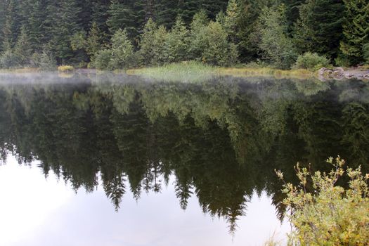 Reflection in Trillium Lake, OR.  Photo taken in the Mount Hood National Forest, OR.