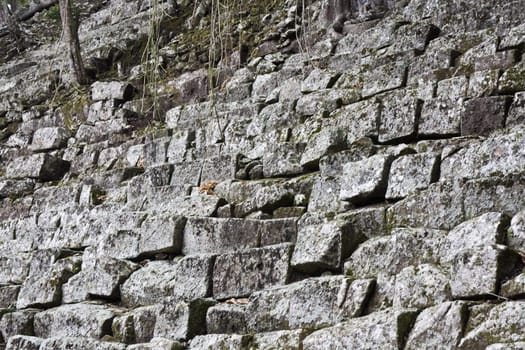 Ruins of ancient Copan - Honduras