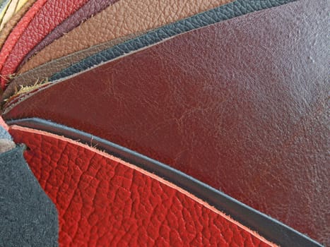 Leather samples
