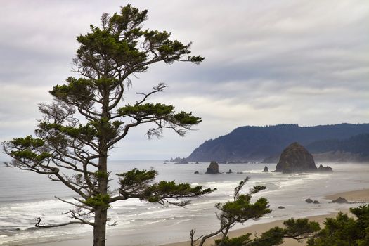 View of Haystack Rock one foggy morning from Tolovana Beach Oregon