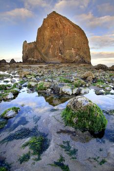 Haystack Rock in Cannon Beach Oregon at Low Tide