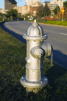 Silver Fire Hydrant seen in downtown of Memphis.