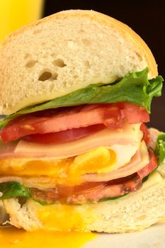 Sandwich with lettuce, tomato, cheese, ham and fried egg cut in half (Selective Focus, Focus on the egg yolk) 