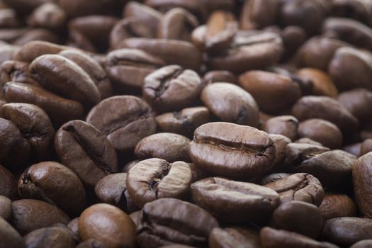 Close up of coffee beans with short depth of field.