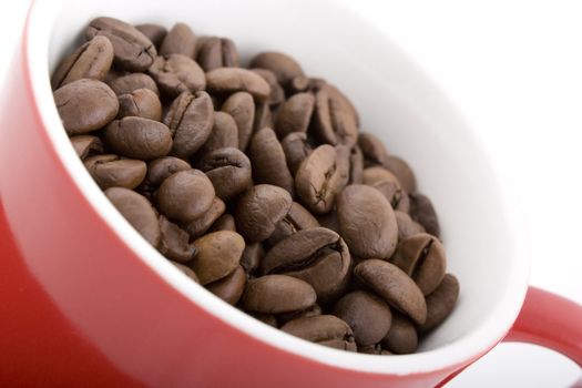 Close up of red cup filled with coffee beans.  