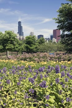 Colorful Park in Chicago, IL