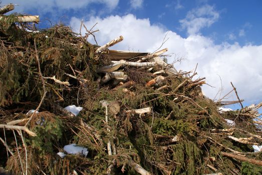 Renewable energy in winter - stacked wood from thinning to produce power and energy.