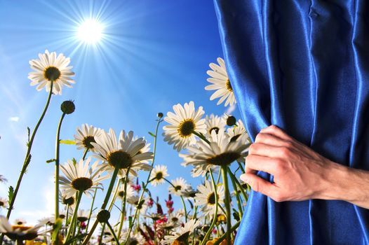 view to summer flowers behind a blue curtain showing happiness