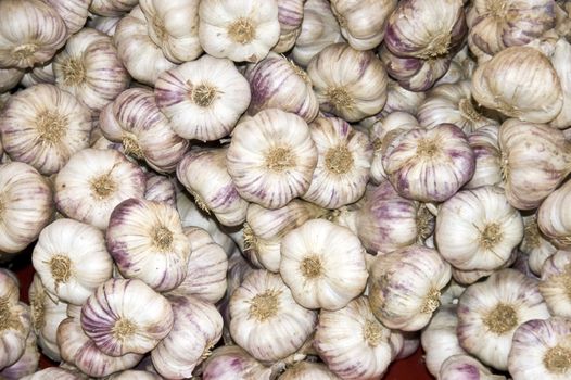 Shot of pile of garlic at french market