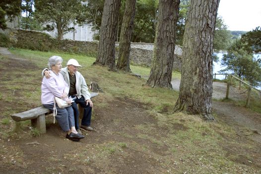 Old happy senior couple sitting on bench