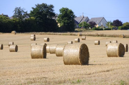 Hay bales on french farm near Saint-Malo, Brittany.