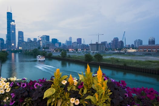 Downtown Chicago with colorful flowers in the fortground.