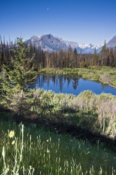 Moon above Rockies in Glacier National Park