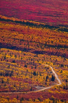 Small gravel road up in fall-colored mountain tundra.