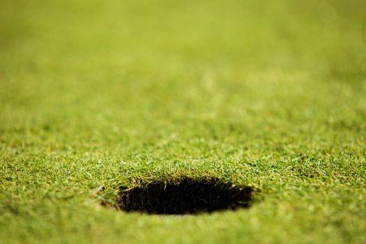 Close-up of hole on putting green
