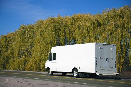 Small white truck on the road.