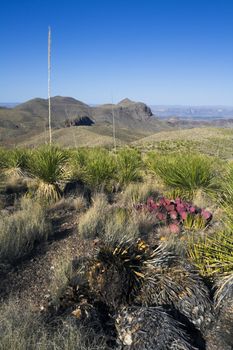 Landscape of Big Bend National Park, Texas, USA.