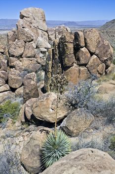 Landscape of Big Bend National Park, NM.