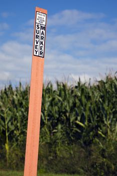 Survey marker in the field, next to the section corner or benchmark.