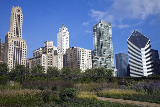 Prairie in the middle of downtown Chicago