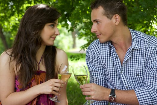 Young couple toasting wineglass