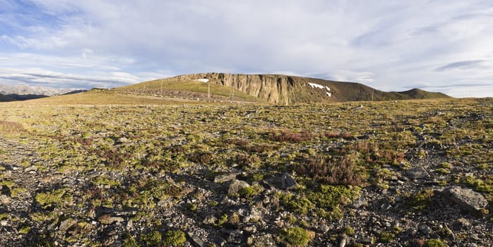 Colorful Tundra in Rocky National Park