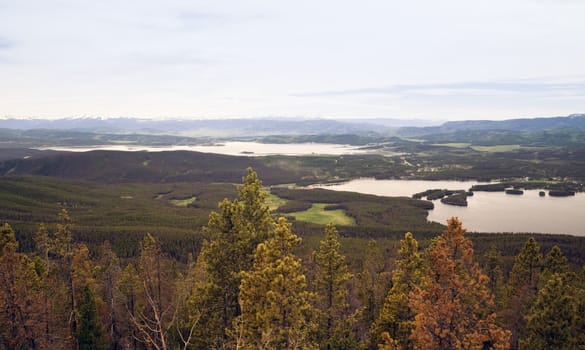 Grand Lake area - Rocky Mountains in Colorado.