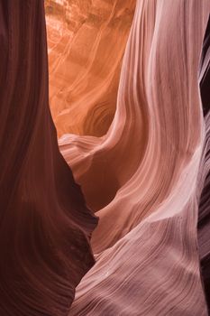 Lower Antelope Canyon is located in Page, Arizona and is one of the most popular tourist destinations in this state.