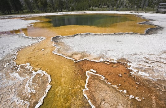 Yellowstone National Park in Wyoming.