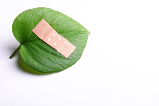 eco ecology ecological nature or environmental concept with green leaf and band aid on white