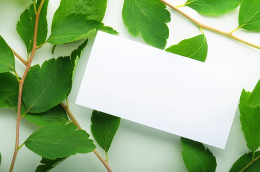 blank paper with copyspace and green leaves