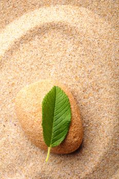 zen or spa concept with stone leaf and sand