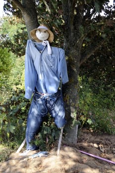 Shot of scarecrow at french farmland in brittany