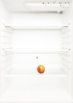 One Lonely Apple in the regrigerator