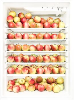 Fridge full of apples