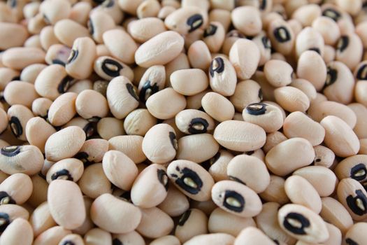 black eyed peas closeup shot.