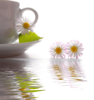 cup of tea or coffee with flowers and water reflection