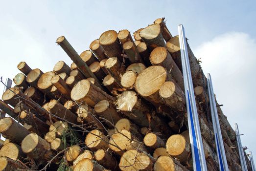 Stacked wood for energy and biomass on a truck trailer.