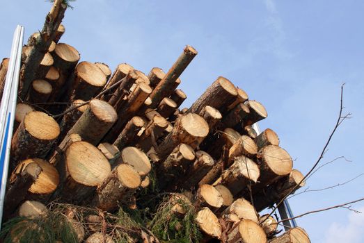 Stacked wood for energy and biomass on a truck trailer.