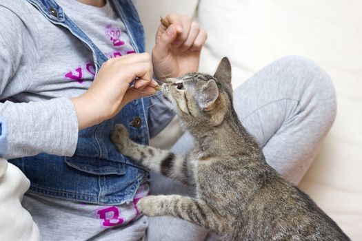 A child feeding kitten 