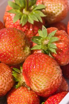 food series: freshly grown tasty strawberry texture