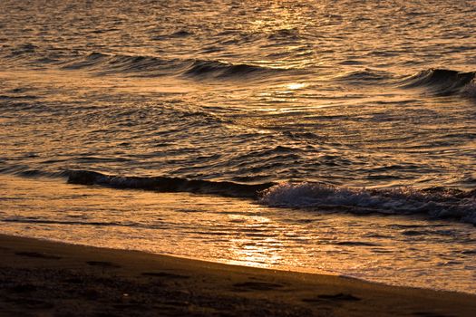 nature series: sea braker in sunset light