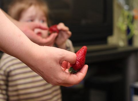Strawberry, Human Hand, Holding, Food, Meal
