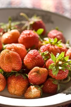 food series: fresh ripe red strawberry on the plate