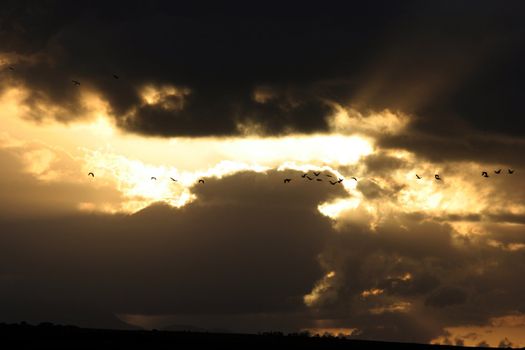 Beautiful clouds and sunset with silhouette of geese flying home