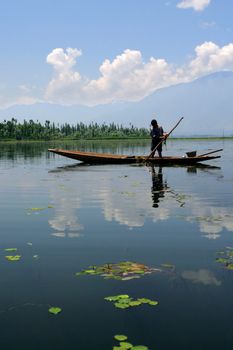 A young boy in Kashmir, India collecting grass off the bottom of a lake for agriculture.

